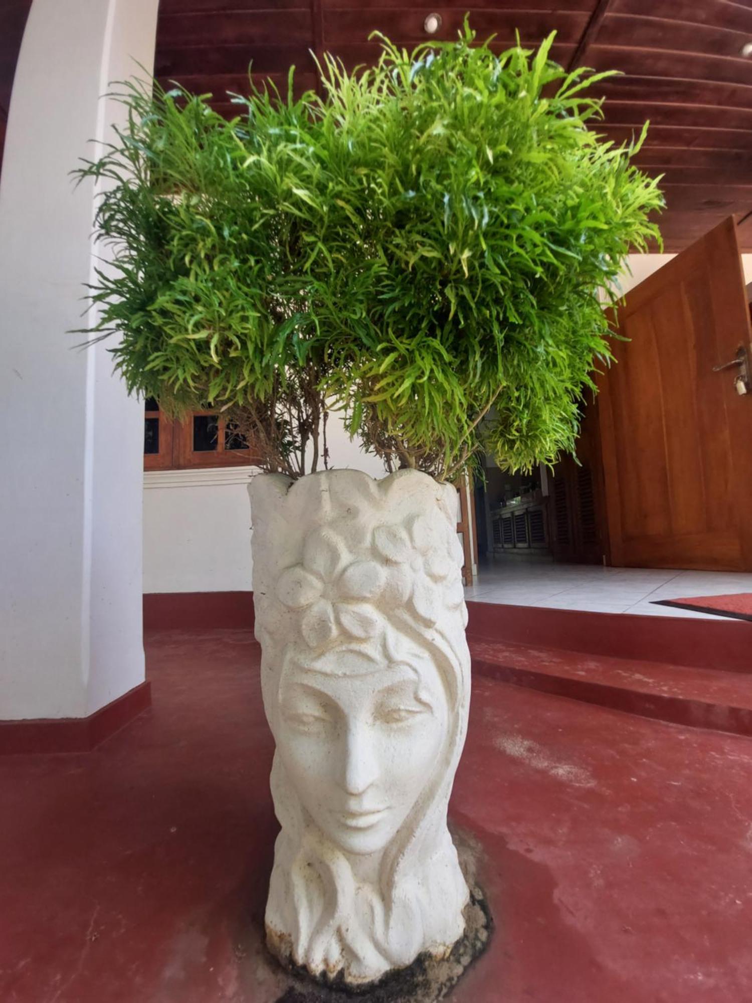 Czech House Villa Tangalle Dış mekan fotoğraf